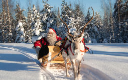 pere noel traineau rennes